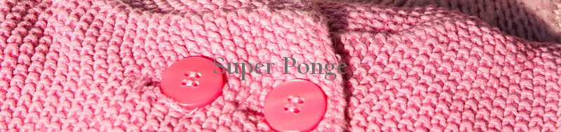 Super Ponge